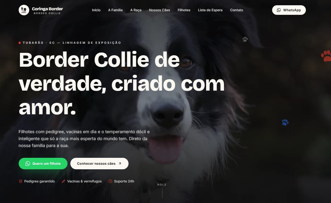 Plataforma Coringa Border — Canil · Site desenvolvida pela Wings Tech