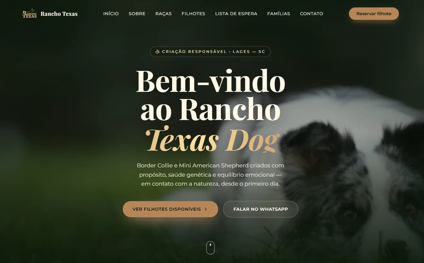 Plataforma Rancho Texas — Canil · Site desenvolvida pela Wings Tech